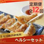 させぼ餃子研究所 させぼ餃子ヘルシーセット全12回
