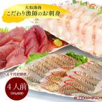 ふるさと納税 延岡市 【毎月定期便】【6ヶ月定期便】大和海商 こだわり漁師のお刺身 4人前全6回