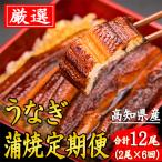 うなぎ蒲焼き 2尾