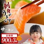 サーモン 切り落とし 総量2.7kg 900g×全3回
