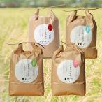 ショッピングふるさと納税 定期便 ふるさと納税 能美市 【毎月定期便】石川県産4種のお米食べ比べ定期便　10kg×4ヶ月連続全4回