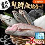 若狭小浜港のお任せ天然鮮魚セット 全4回