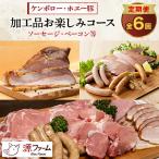 肉 ソーセージ 毎月定期便 十勝産 ホエー豚