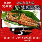 うなぎ うなぎ蒲焼き 1尾