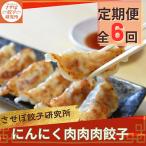 させぼ餃子研究所 にんにく肉肉肉餃子 計96個×全6回