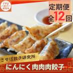 させぼ餃子研究所 にんにく肉肉肉餃子 計96個×全12回