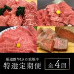 京丹波かぐら厳選雌牛 京丹波姫牛 特選定期便全4回