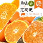紀州和歌山産旬の柑橘セット みかん 不知火