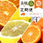定期便 紀州和歌山産旬の柑橘セット みかん