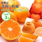 ふるさと納税 日高町 【発送月固定定期便】季節の柑橘定期便A【フルーツ定期便】【和歌山県有田】全3回
