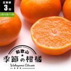 季節の柑橘定期便A 全3回