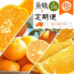 紀州和歌山産旬の柑橘セット みかん なつみ