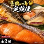 セットI 銀鮭切身 サバフィレ 3種切身 全3回
