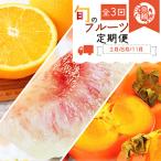 定期便 紀州和歌山産旬のフルーツセット