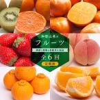 ふるさと納税 那智勝浦町 【発送月固定定期便】フルーツ定期便B【フルーツ定期便】【和歌山県有田】全6回