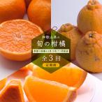 ふるさと納税 那智勝浦町 【発送月固定定期便】季節の柑橘定期便A【フルーツ定期便】【和歌山県有田】全3回
