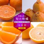 季節の柑橘定期便B 全4回