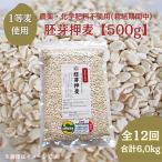 農薬 化学肥料不使用 栽培期間中 産サチホゴールデン全12回