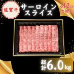 佐賀牛サーロインスライス500g HBH020
