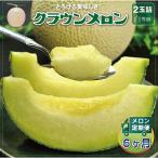 クラウンメロン 白等級 2玉