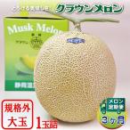クラウンメロン 規格外大玉 1玉