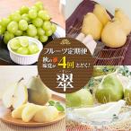 ふるさと納税 寒河江市 【発送月固定定期便】秋の果物定期便4回「フルーツ〜翠(すい)〜」【2025年9月発送開始予定】全4回