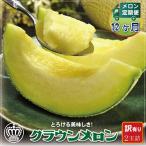 メロン 毎月定期便 訳あり クラウンメロン 2玉