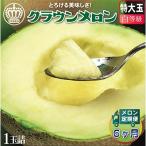 クラウンメロン 白等級 特大玉 1玉