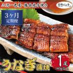 3ヶ月定期便 三河一色産 備長炭手焼き 昭和9年創業
