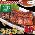 うなぎ 三河一色産 備長炭手焼き 蒲焼
