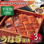 うなぎ 三河一色産 備長炭手焼き 蒲焼