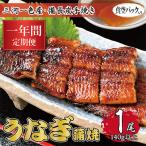 うなぎ 三河一色産 備長炭手焼き 蒲焼