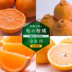 季節の柑橘定期便A 全6回