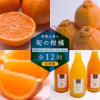 季節の柑橘定期便A 全12回