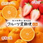 紀州和歌山産旬のフルーツセット 田村みかん
