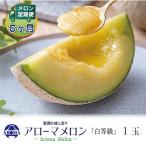 アローマメロン 白等級 1玉