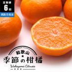 季節の柑橘定期便A 全6回