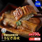 浜名湖産 うなぎ蒲焼 約150g×5尾