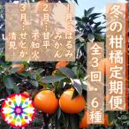 ふるさと納税 八幡浜市 【発送月固定定期便】愛咲果樹園「冬の柑橘定期便」(1月〜3月)全3回【F71-20】