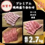 牛肉 焼肉 バーベキュー 全3回定期便 佐賀牛