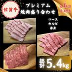 牛肉 焼肉 バーベキュー 全6回定期便 佐賀牛