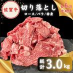 佐賀牛 A5 切り落とし 500g