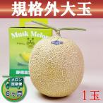 クラウンメロン 規格外大玉 1玉