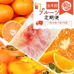 紀州和歌山産旬のフルーツセット みかん