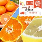 紀州和歌山産旬のフルーツセット みかん