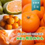 季節の柑橘定期便A 全4回