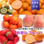 ふるさと納税 九度山町 【発送月固定定期便】フルーツ定期便A【フルーツ定期便】【和歌山県有田】全6回