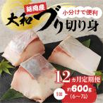 大和ブリの切り身 約600g
