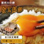 那珂川の金太郎卵 60個
