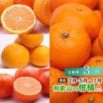 ふるさと納税 和歌山市 【発送月固定定期便】季節の柑橘定期便A【フルーツ定期便】【和歌山県有田】全3回